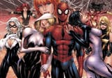 Spider-Harem