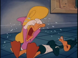 dead duck