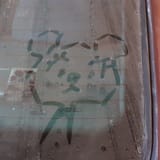 Teri_Window_Dirt