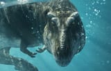 ATV_Prehistoric_Planet_key_art_2x3