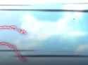 Flash vs Minato_thumb.jpg