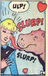 hippo