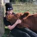 CowCuddles_thumb.jpg