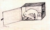torture box