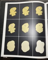 nugget 12