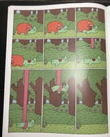 nugget 18
