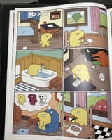 nugget 35