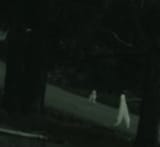 Fresno-Nightcrawlers-1
