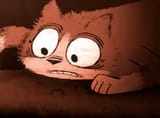 cat is afraid