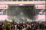 weed