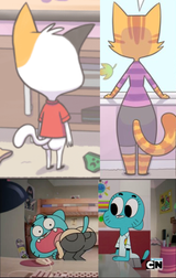 cat asses
