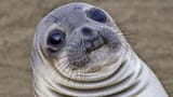 sup
