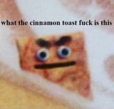 wtf cinnamon