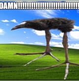 b00