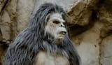 bigfoot