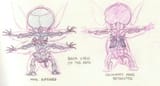 alien anatomy