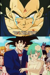 Bulma marries Goku