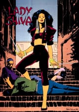31070f5234276f635e218cecfc7bee47--lady-shiva-comic-books-3993242620