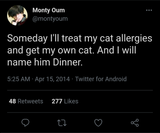 monty wanted to do something about his allergies