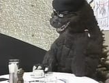 incognito