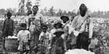 how-slavery-became-the-economic-engine-of-the-souths-featured-photo