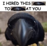 GrpvBqPWwAAppKq