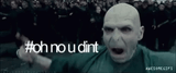 voldemort-and-funny-harry-potter-ynmb1b3yv7ajxtcz[1]