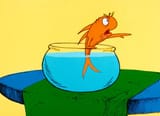 fishy bastard