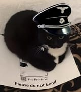 will_it_bend