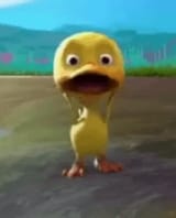 the-entirety-of-that-one-crying-duck-gif-v0-gsi2ttqmbave1