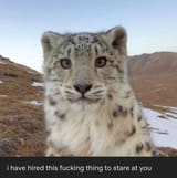 1734896724384320