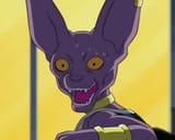 Beerus (2)