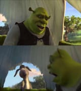 shrek yelling at donkey