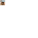 1739441526992137