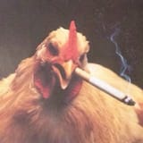 Smoking chicken