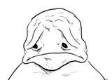frown