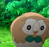 Screenshot_20250511_124015_Chrome