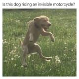 UplGtCc