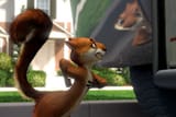 hedge_hammy