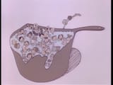 the great american melting pot