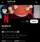 Netflix 
