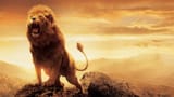 Aslan