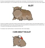 The alot