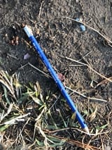 youre-walking-and-see-a-pencil-on-the-ground-are-you-v0-nlnlx0f3bx6e1
