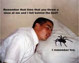 shoespider[1]