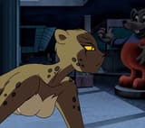 DCAU_Cheetah_001