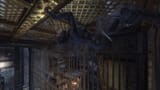 catwoman on the ceiling