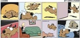 2025-07-06 Luann