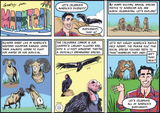 2025-07-06 MarkTrail