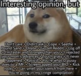 interesting opinon but